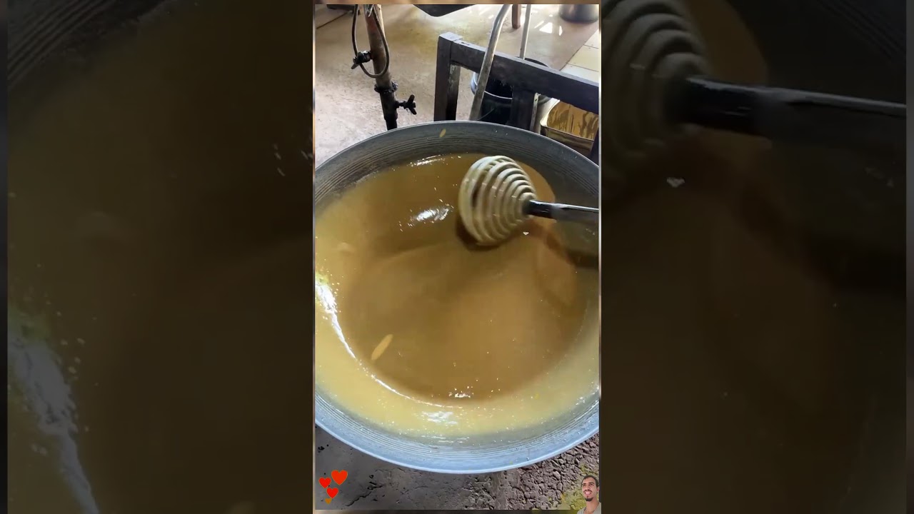 The Secret of the Coconut Tree: How to Make Coconut Sugar