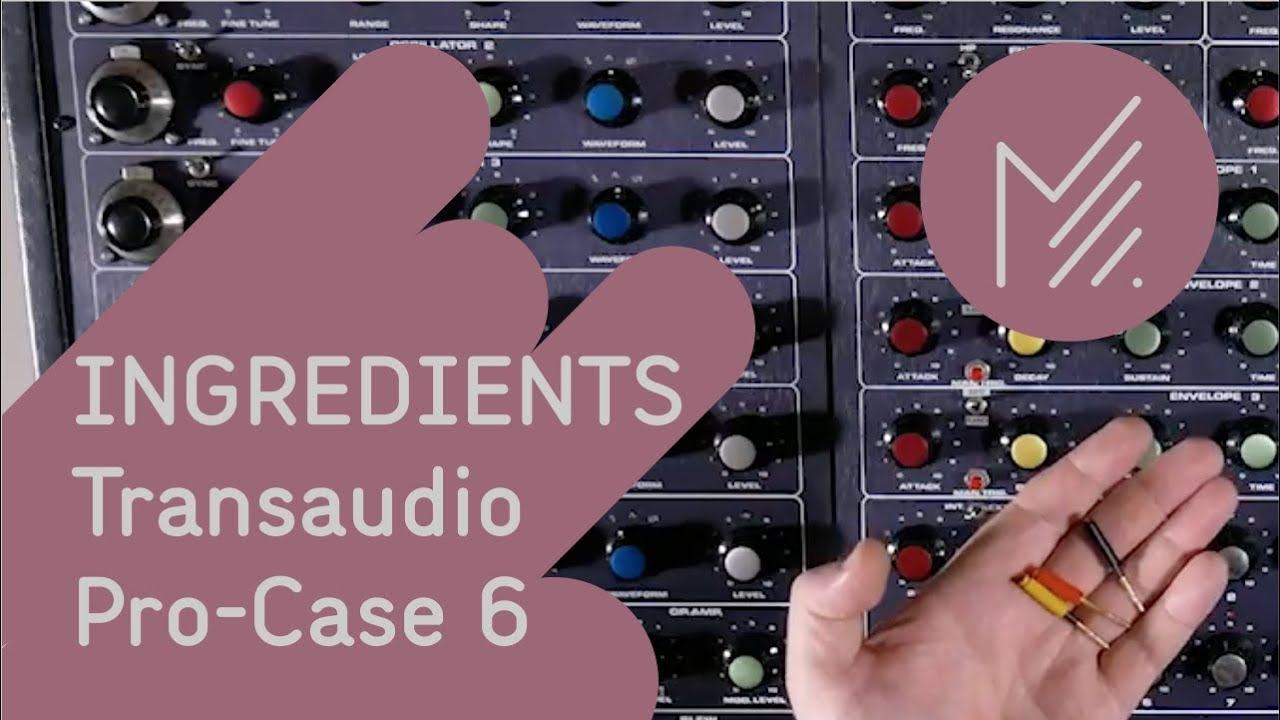 Transaudio ProCase 6 - MESS INGREDIENTS