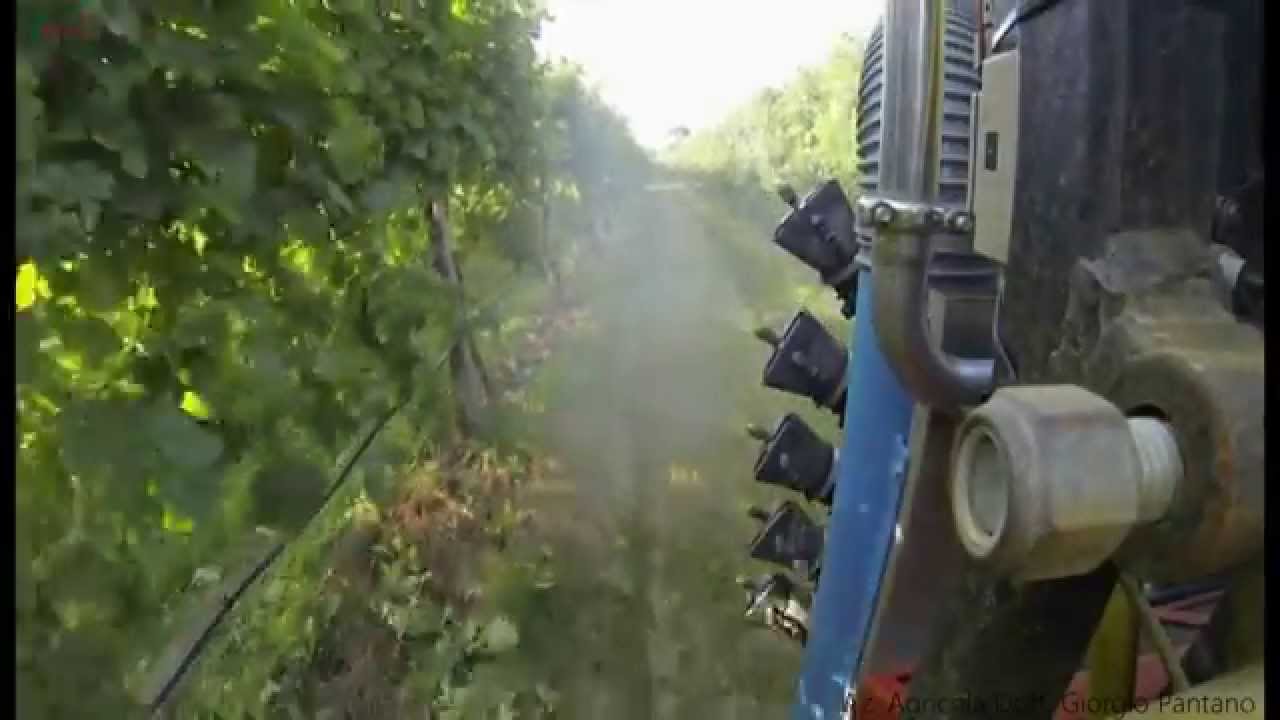 Rovitis - robotics in viticulture