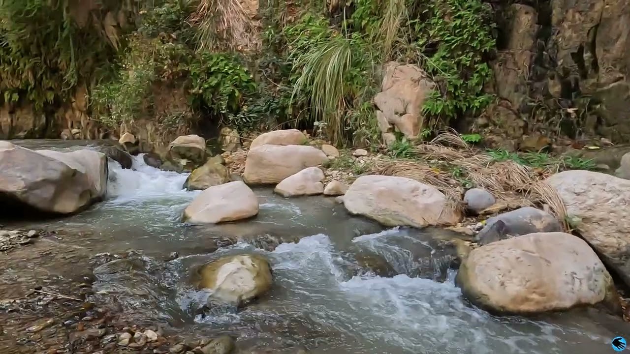 Wadi Bin Hammad (Iordania) - 28.2.2023 (GoPro Hero 10)