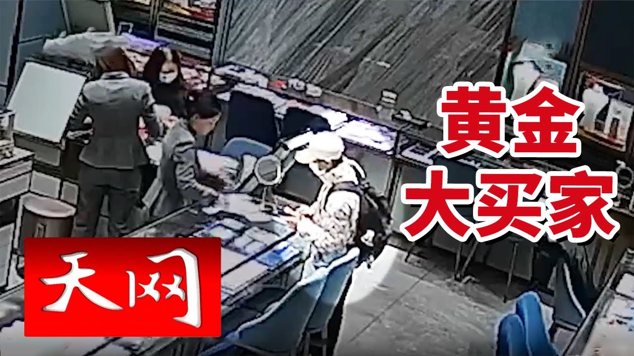 《天网》黄金大买家！新型洗钱犯罪活动被抓获！20241108  | CCTV社会与法