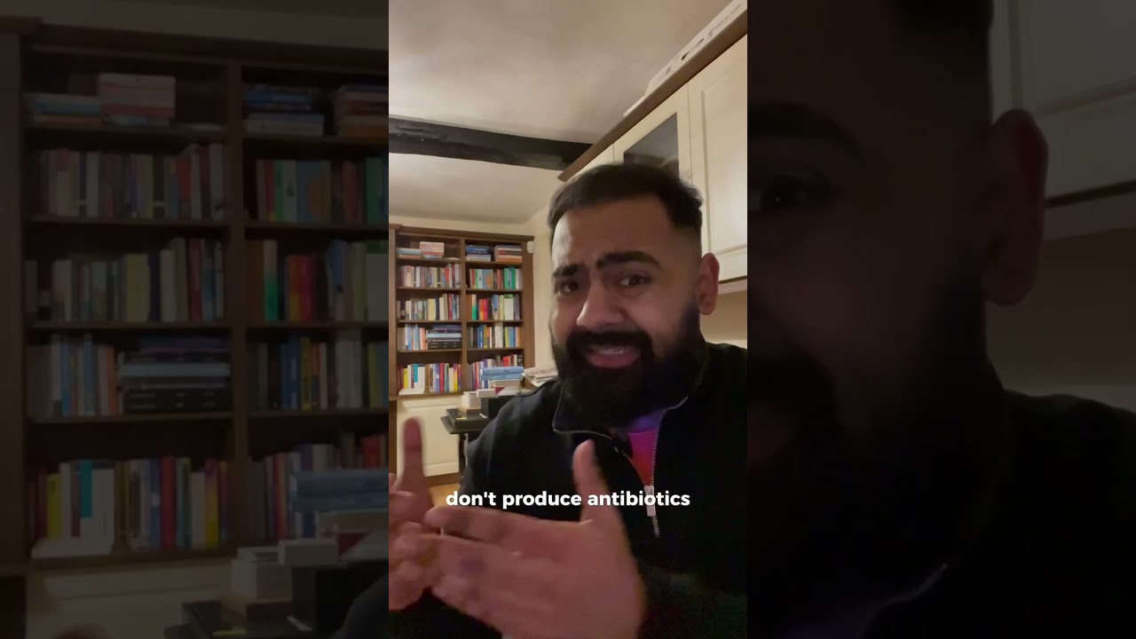 Doctor Explains Cheese Made From Penicillin?!