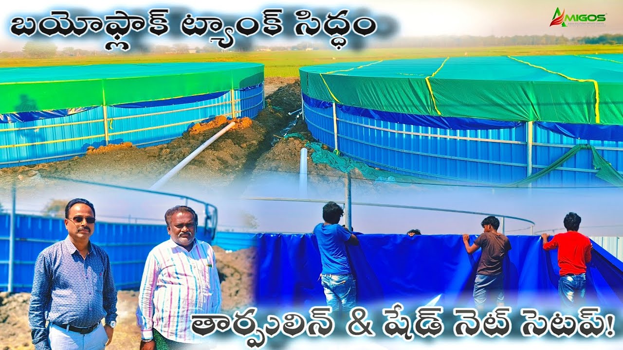 బయోఫ్లాక్ ట్యాంక్లో చేపల విడుదలకు ముందుగా తార్పులిన్ & షేడ్ నెట్ ఫిక్సింగ్ ప్రక్రియ! (PUNNAIAH SITE)