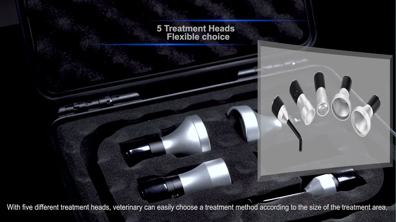 RWD RLT 24 Veterinary Laser Therapy