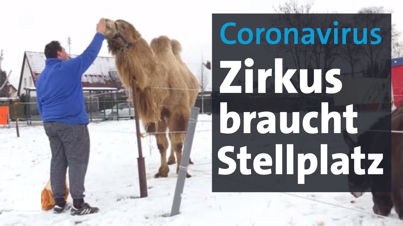 Zirkus ohne Winterquartier - Zirkusfamilie sucht einen Stellplatz | Abendschau | BR24