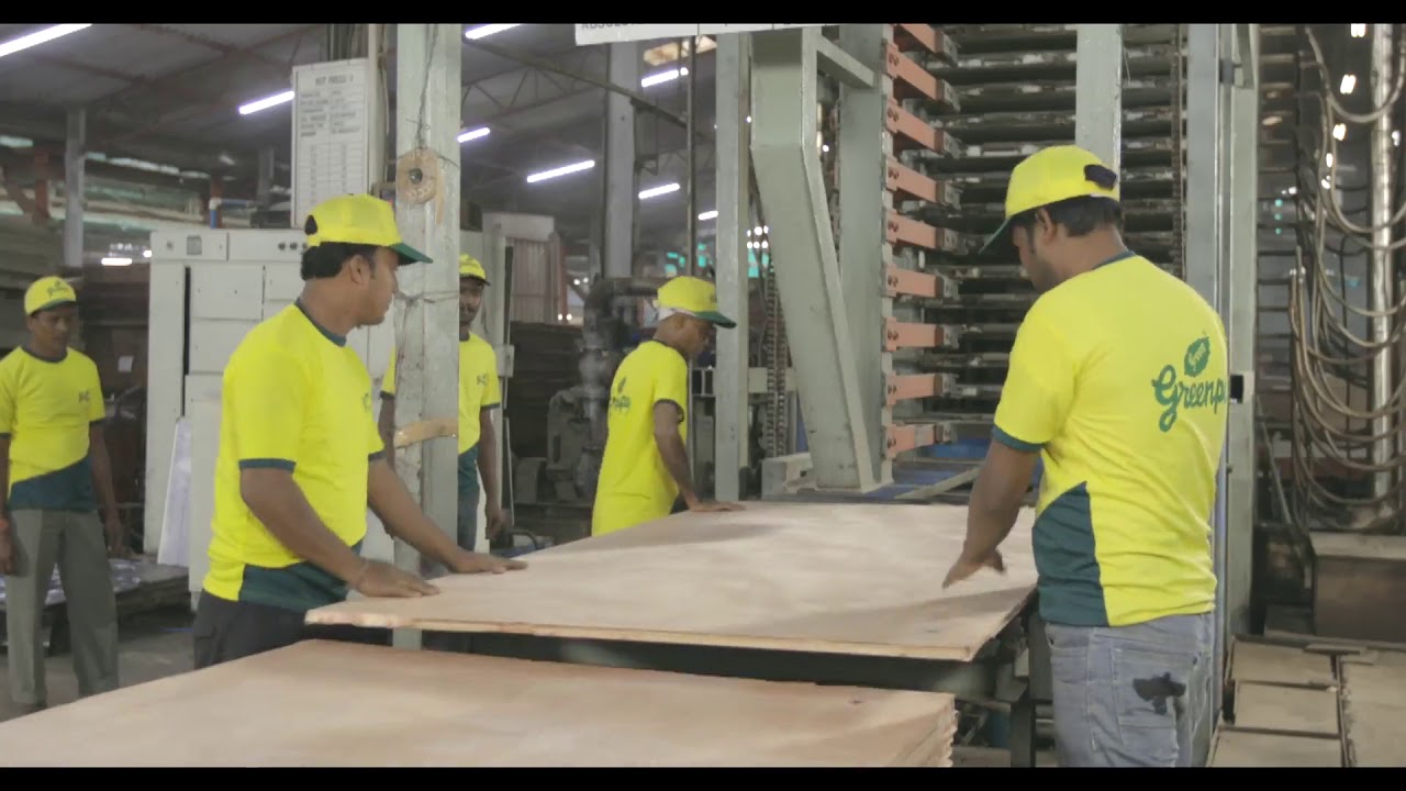 Узнайте, как производится экологичная фанера Defender? | BWP Plywood | Greenply