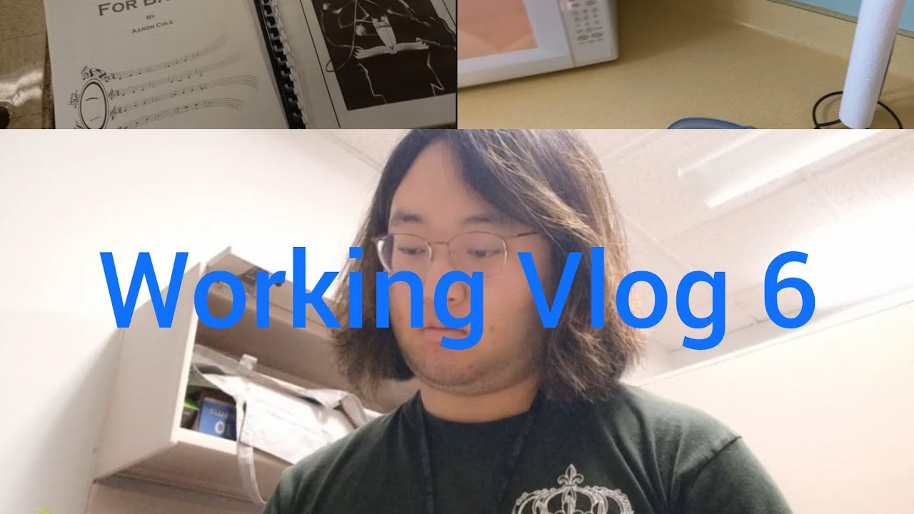 Working Vlog 6