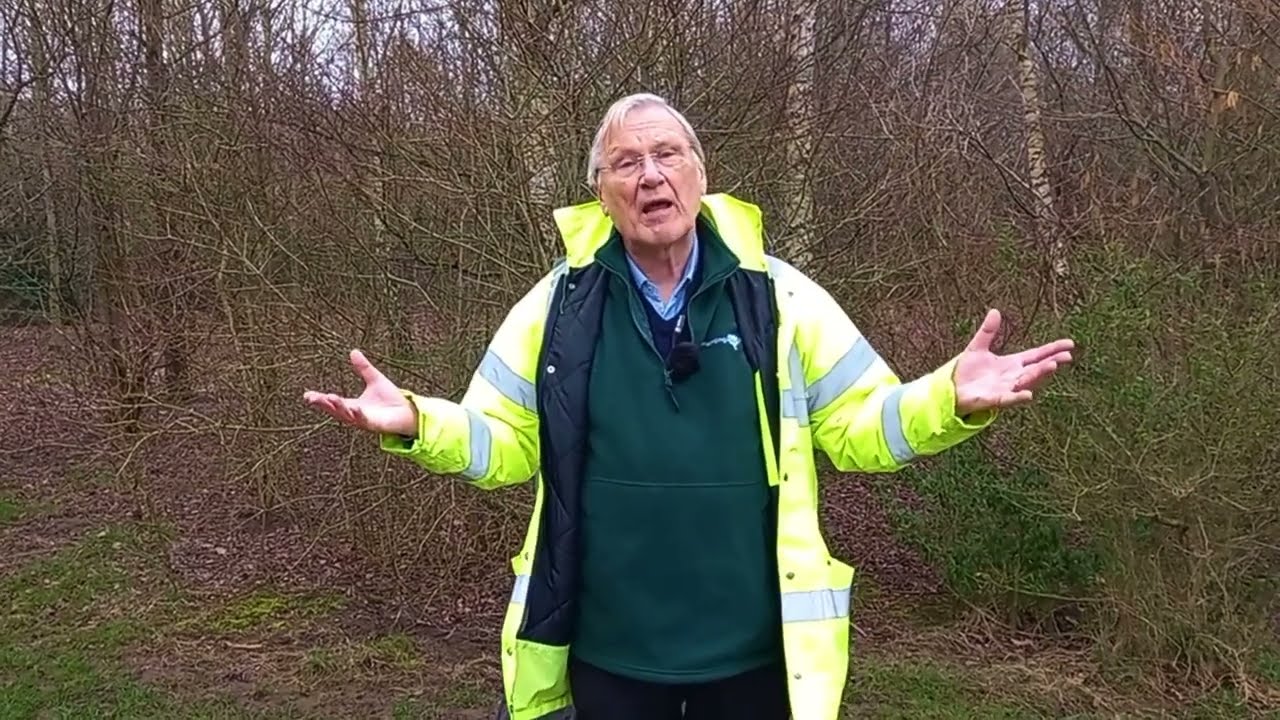 Planting more trees at Katherine’s Wood in Balsall Common, Solihull
