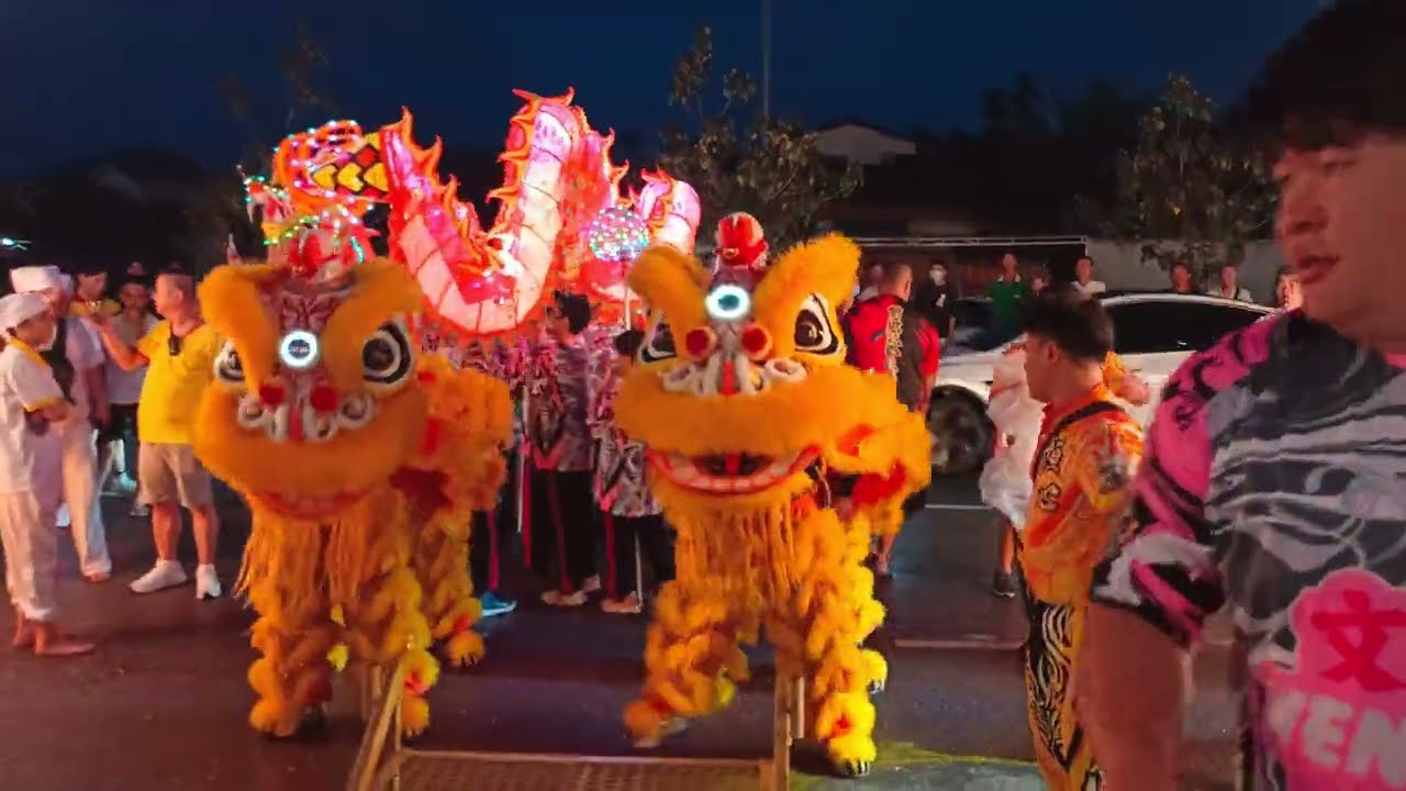Lion and LED Dragon Dance at Tow Boo Keong
