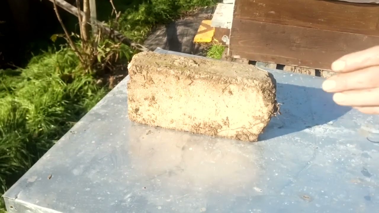 Tratamentul cu acid oxalic prin picurare făcut corect