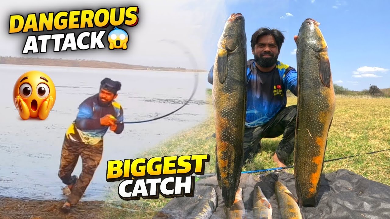Monster Snakehead Strike 😱 | Frog Fishing Tips for Big Catch | Snakehead Fishing | Fishing Video  