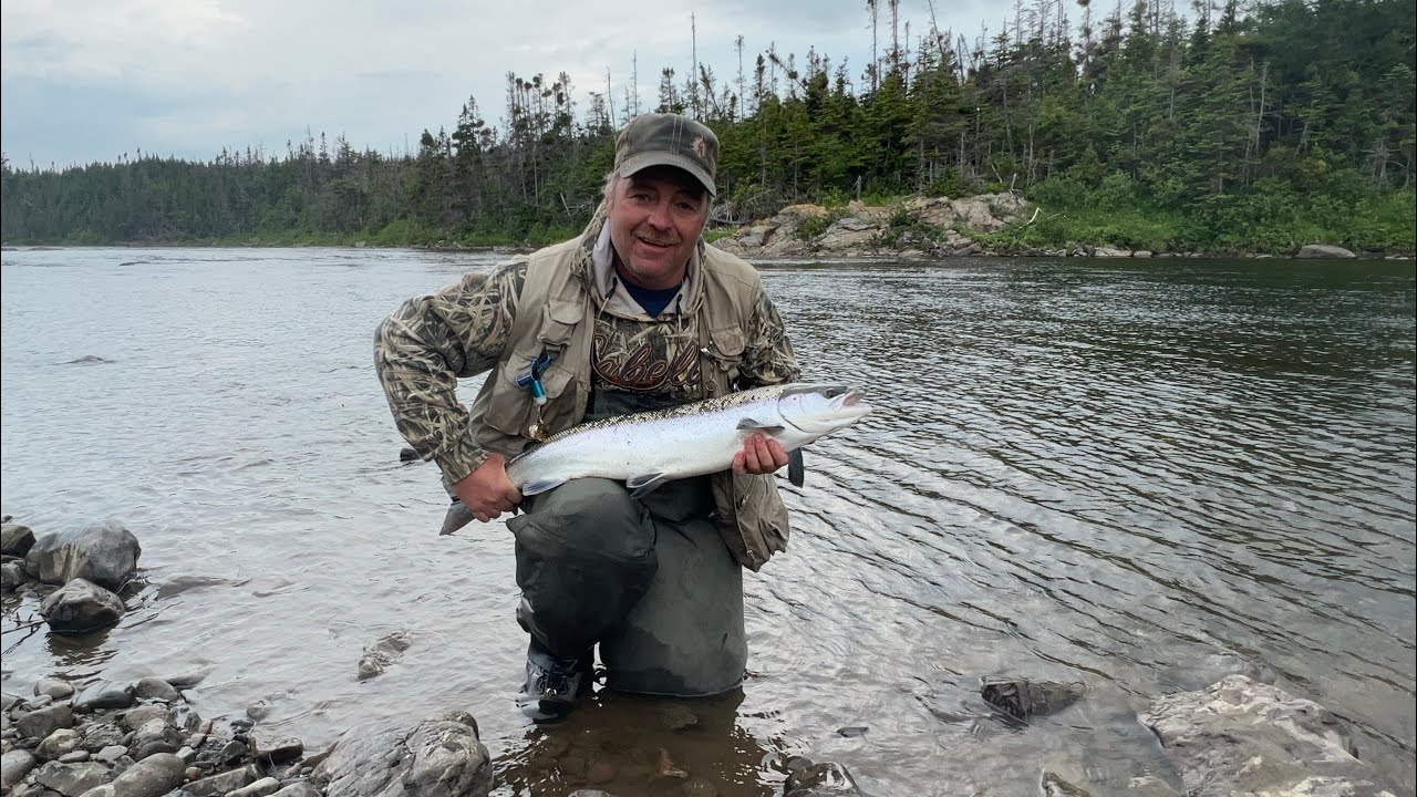 Salmon fishing serpentine river Newfoundland 2022!!