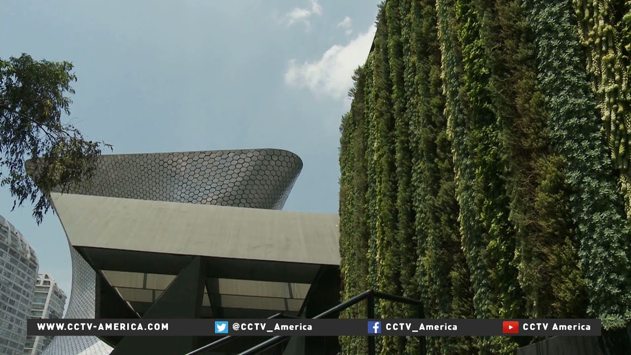 Going Green Building vertical ecological spaces in Mexico City