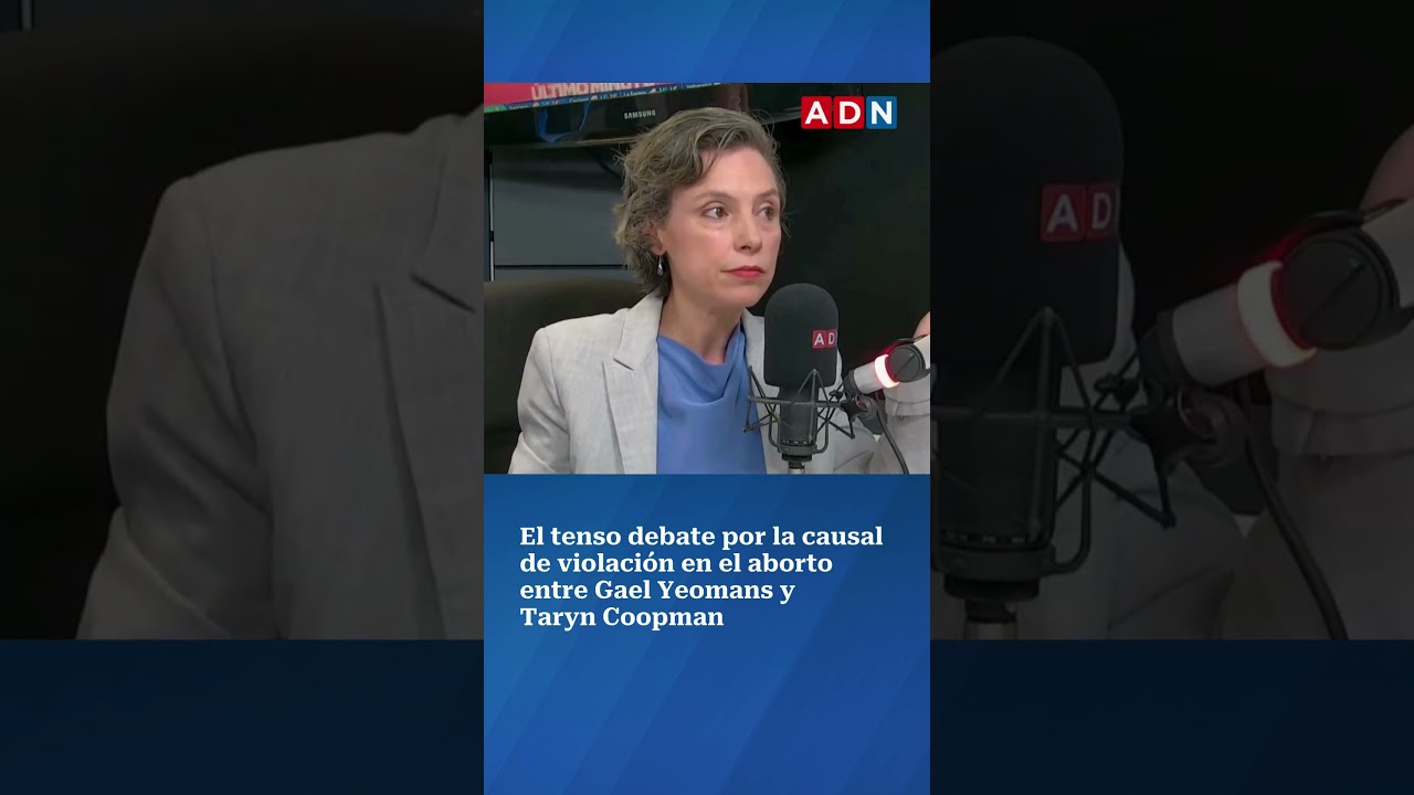 El debate por la causal de violaci&oacute;n en el aborto