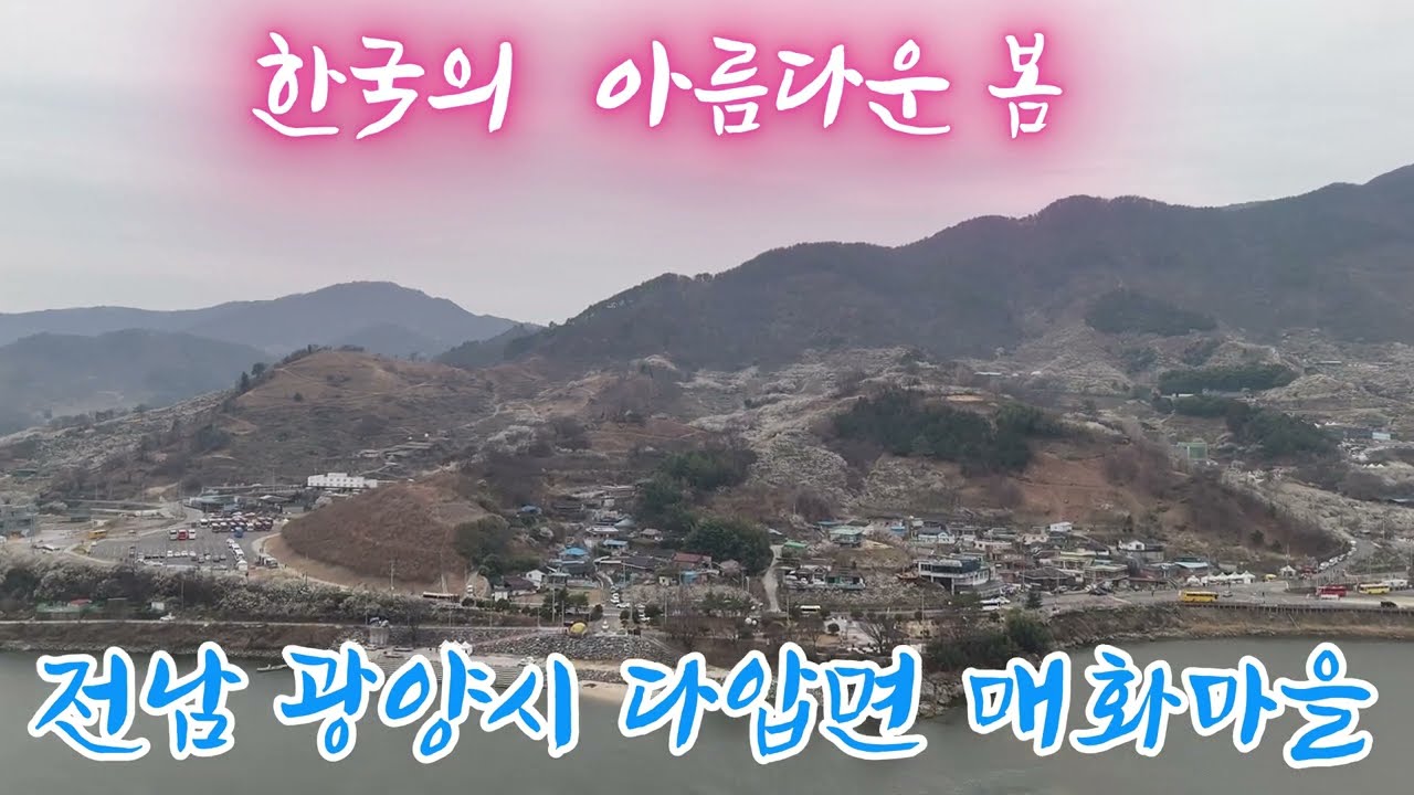 광양 매화마을