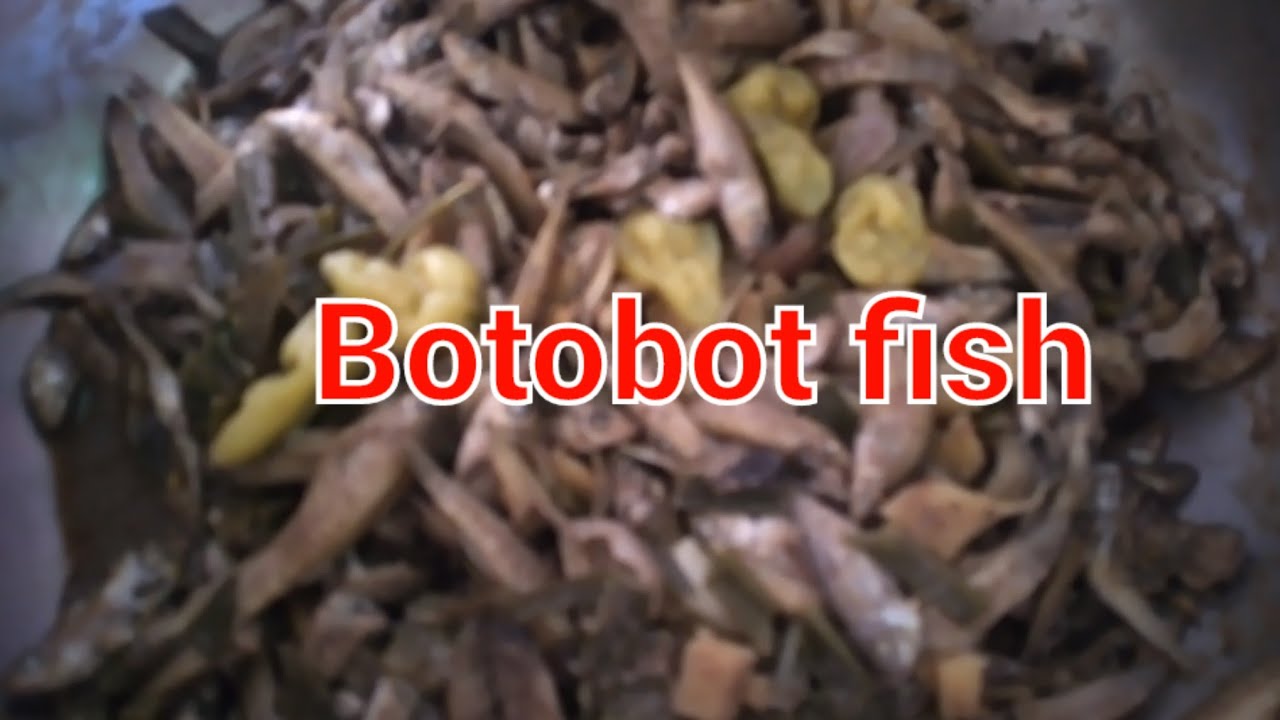 Paksiw Botobot fish||Simpleng lutong bahay
