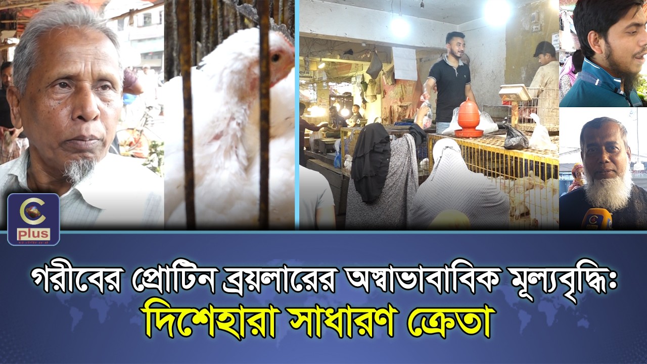 গরীবের প্রোটিন ব্রয়লারের অস্বাভাবিক মূল্যবৃদ্ধি রমজানে দিশেহারা চট্টগ্রামের সাধারণ ক্রেতা | Cplus