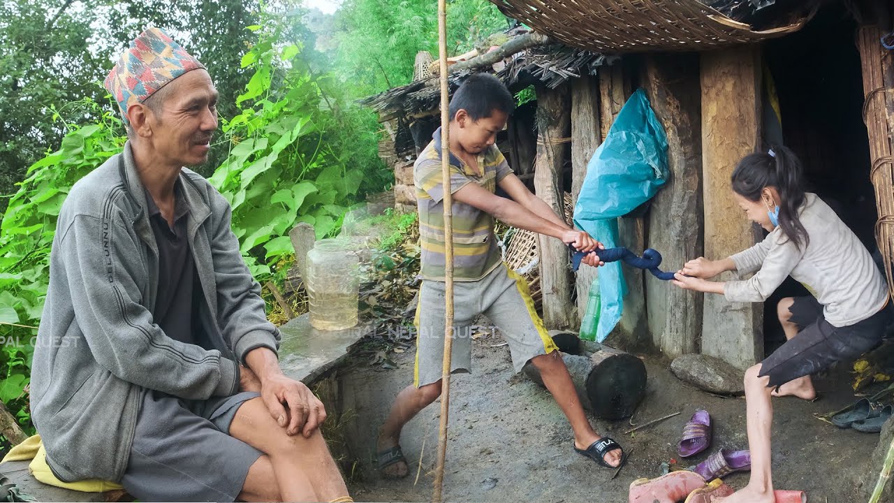 Family in the Jungle || Season - 2 || Video - 67 || family in the cowshed with cows || Rural Nepal