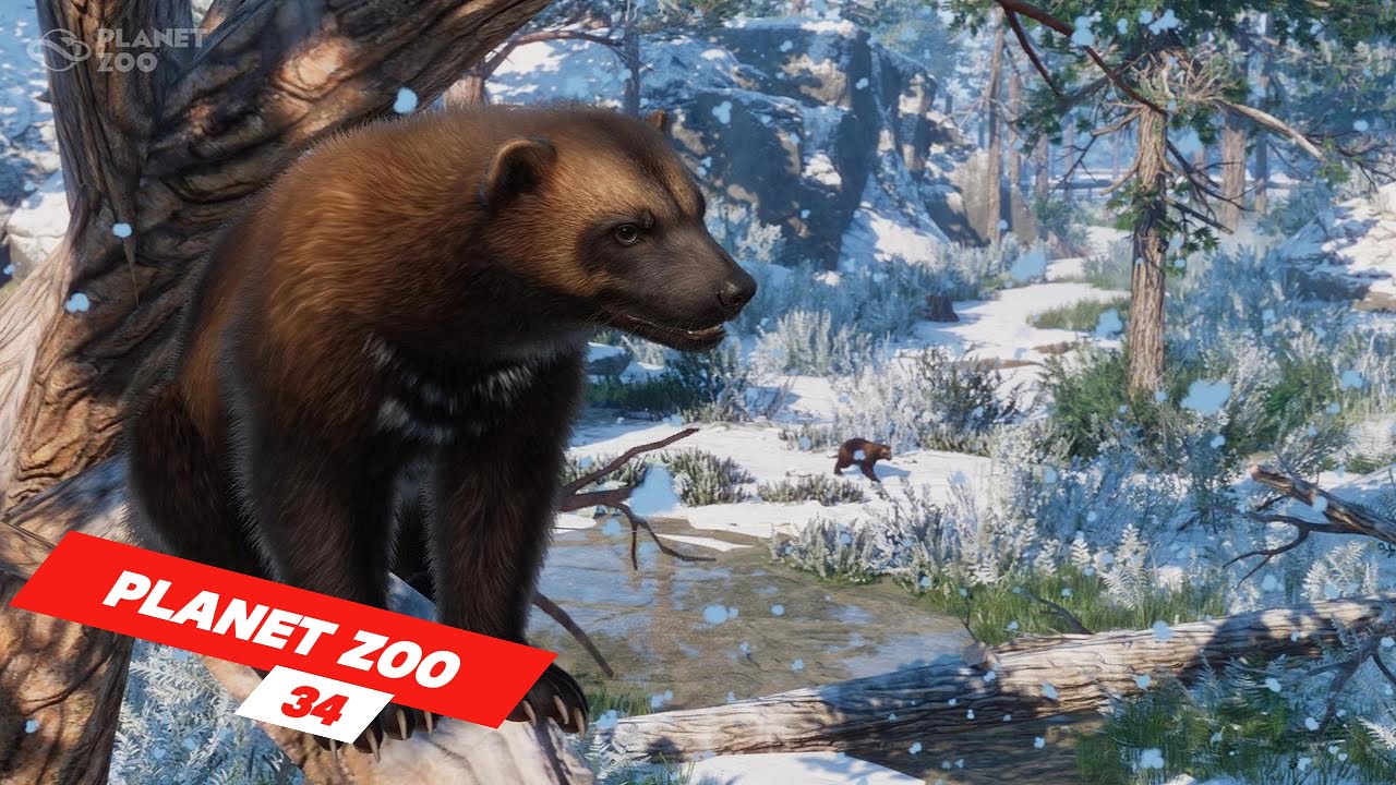 Building on the Antarctica theme in our zoo | ep 34 | Planet Zoo | ZwollywoodZz