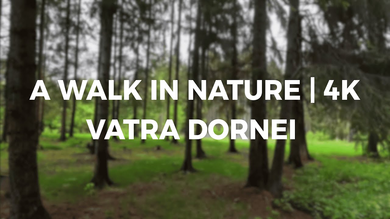 A walk in nature | Vatra Dornei | 4K