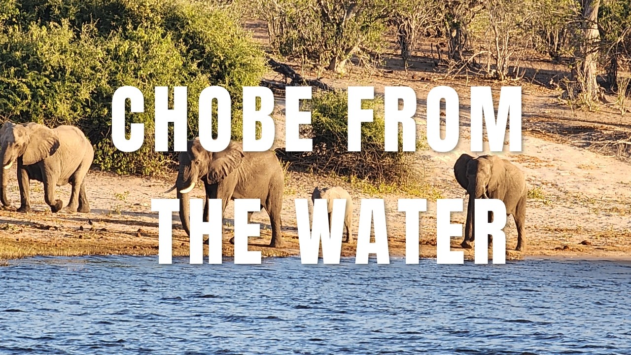Botswana: An Elephant Paradise - Episode 2: Elephant Sands to Kasane and Chobe River