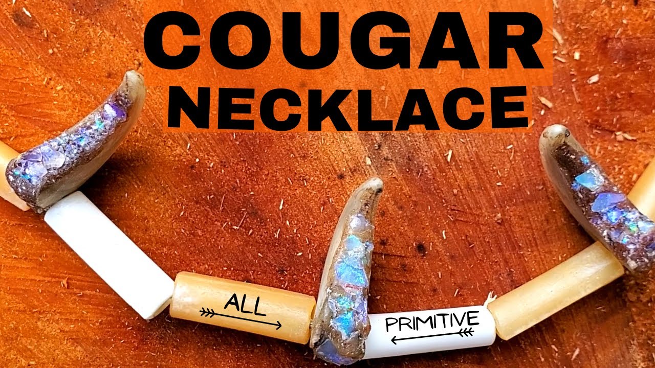 Project Cougar Claw | Part 2