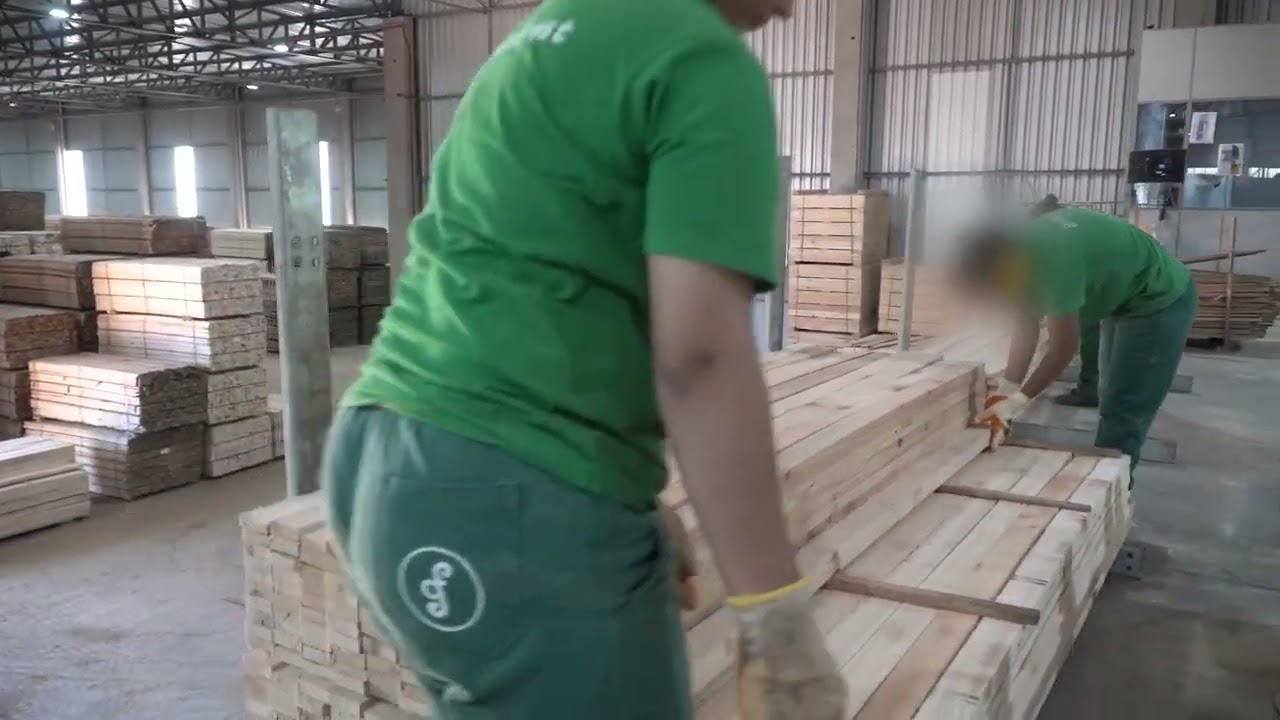 Serraria para Eucalipto GreenForest