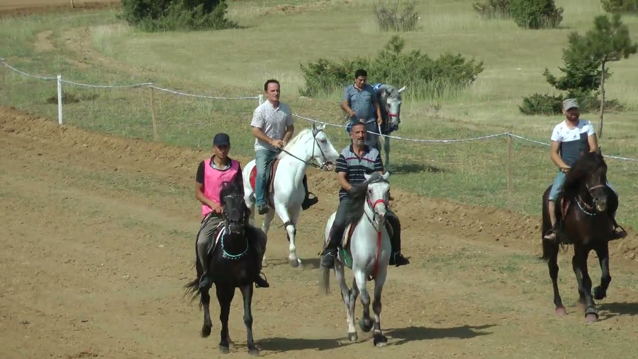 BAŞ ATLAR FİNAL TAŞKÖPRÜ 21.08.2022