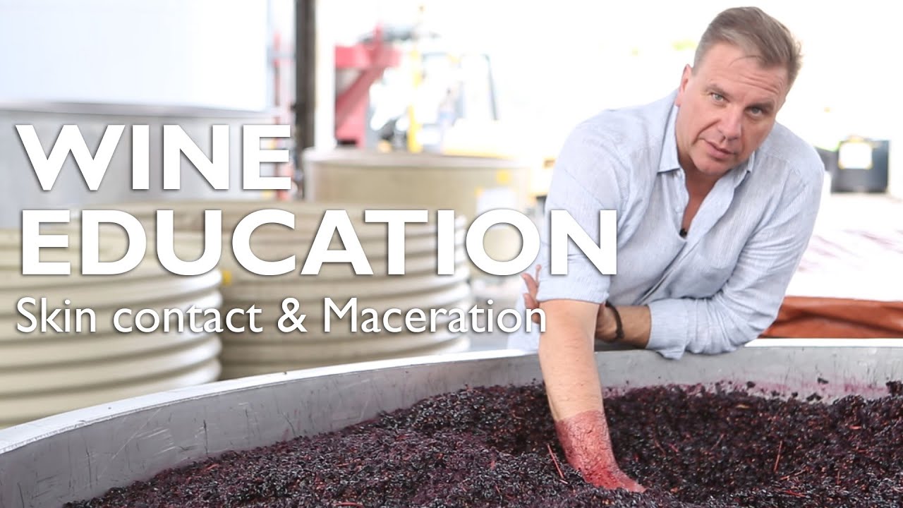 WINE EDUCATION | Skin contact & Maceration