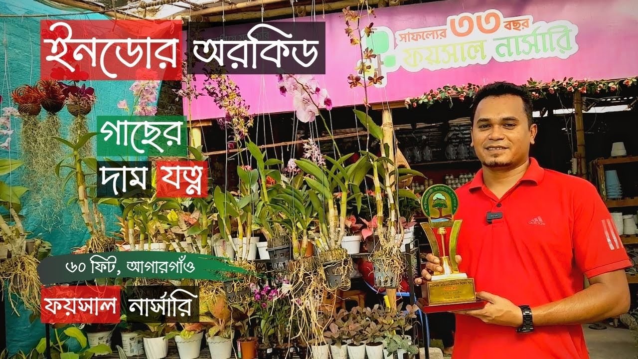 Indoor Plants and Orchid Price In Foysal Nursery | ইনডোর ও অর্কিডের দাম | Gardening Bangladesh
