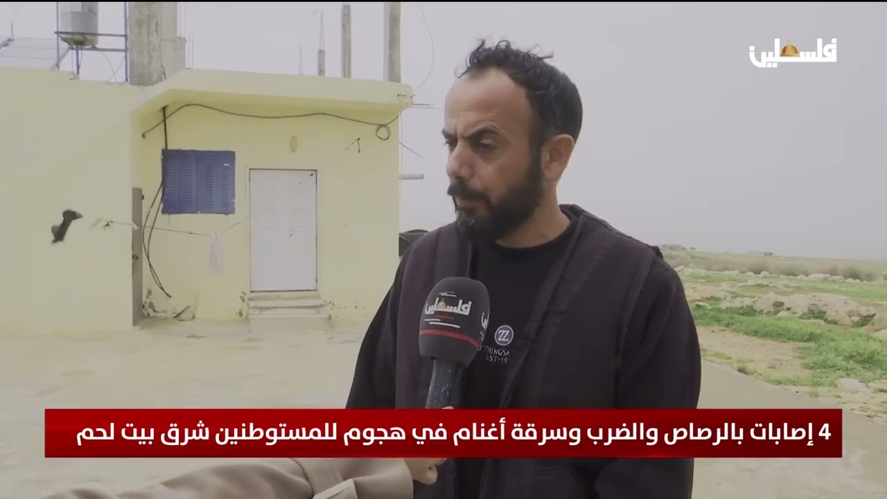 4 إصابات بالرصاص والضرب وسرقة أغنام في هجوم للمستوطنين شرق بيت لحم