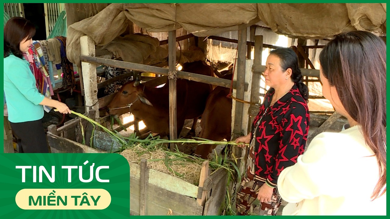 Hội LHPN Việt Nam tiếp tục phát huy hiệu quả tín dụng chính sách | THDT