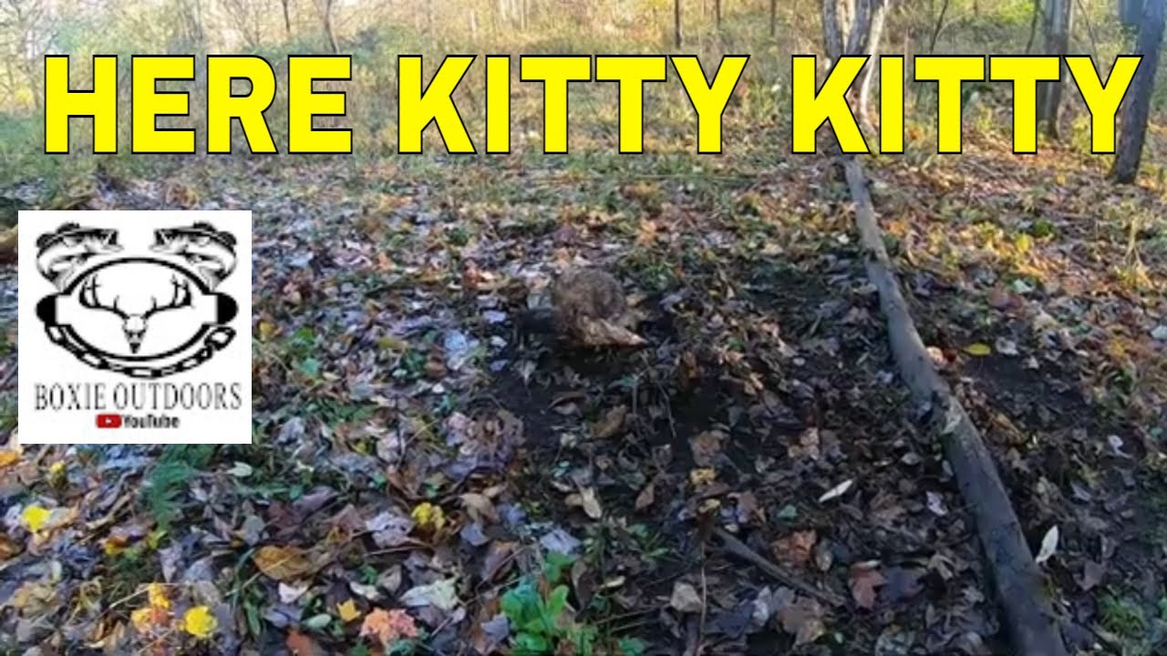 PA Trapping Season 2021-2022 ep.2 Check days 1 and 2 #coyotetrapping #raccoontrapping