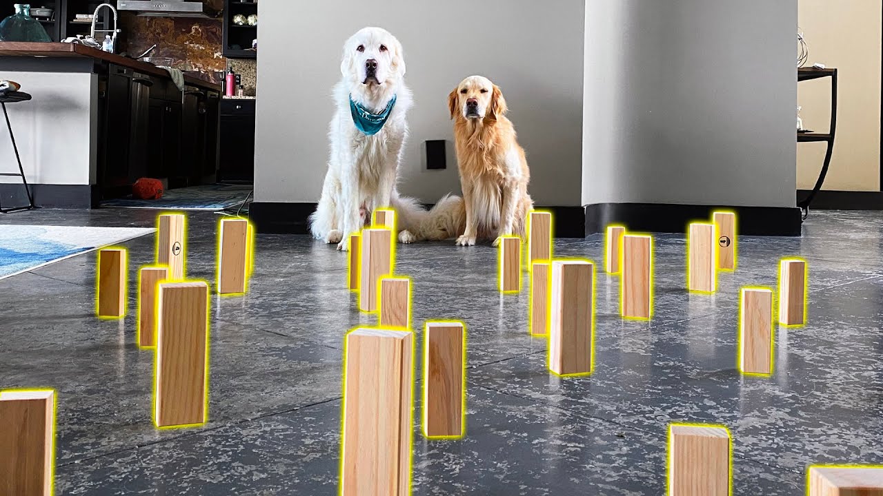 TIP TOE CHALLENGE! (Super Cooper Sunday #248)