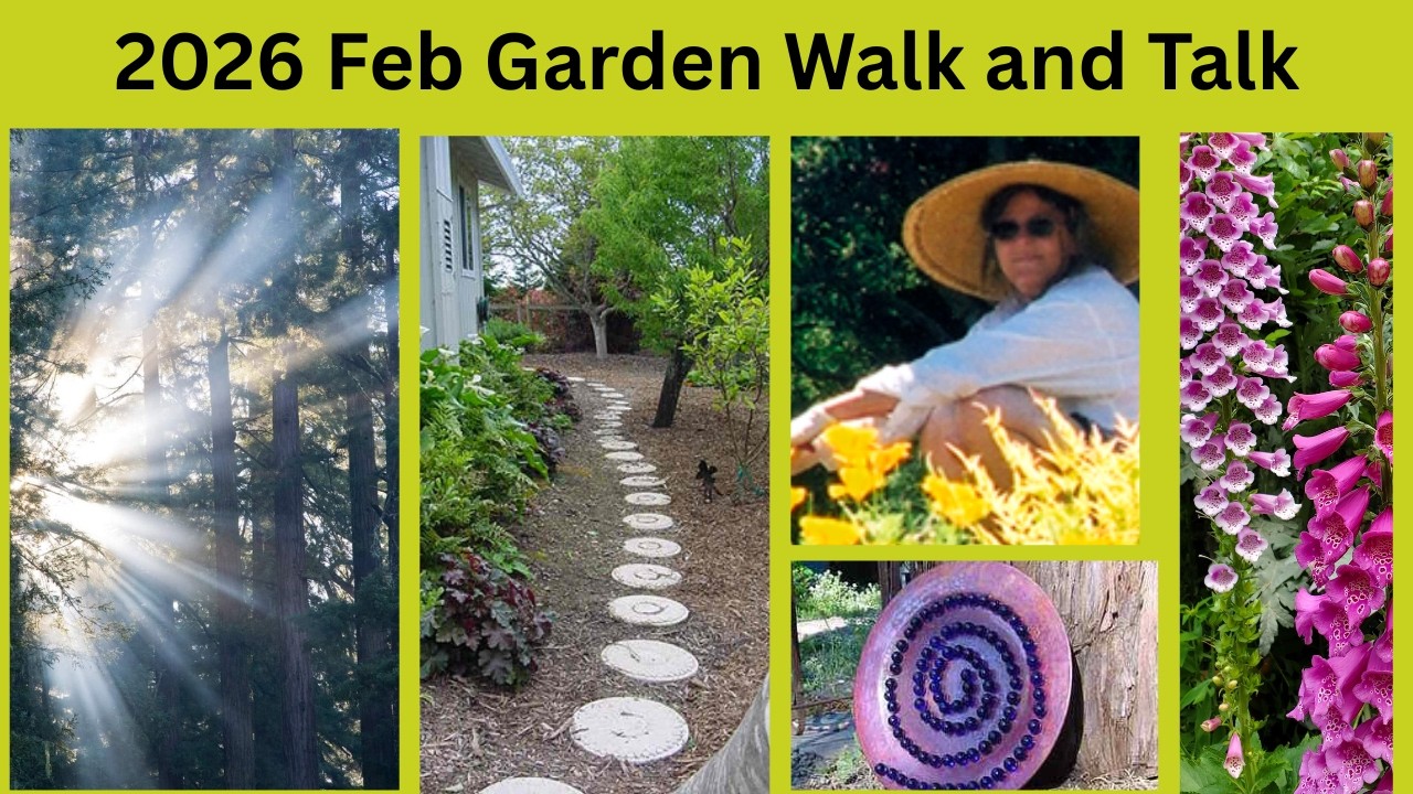 2026 Feb Walk & talk, My cherry tree, bare-root fruit trees in oak barrels ? + pruning  fruit trees!