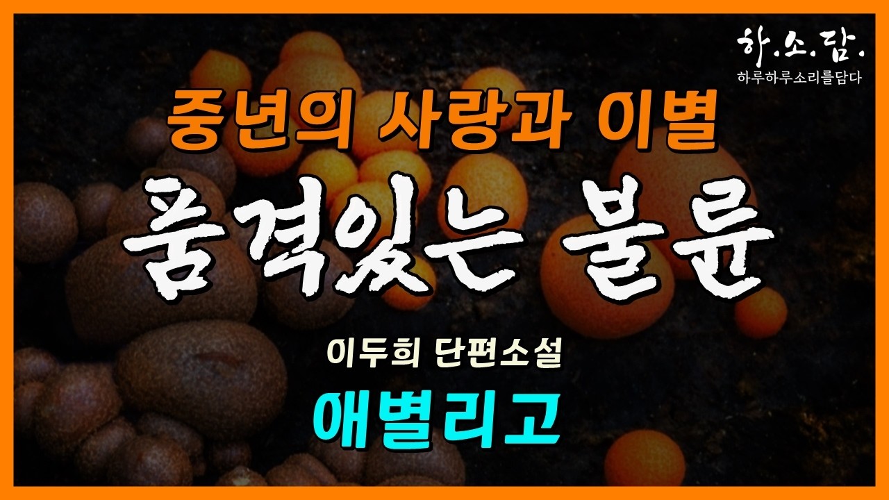 불륜이라 말할 수 있을까? 중년의 품격있는 사랑과 이별! [애별리고 - 이두희 단편소설 ] #하소담오디오드라마 | 책읽어주는 여자 하소담