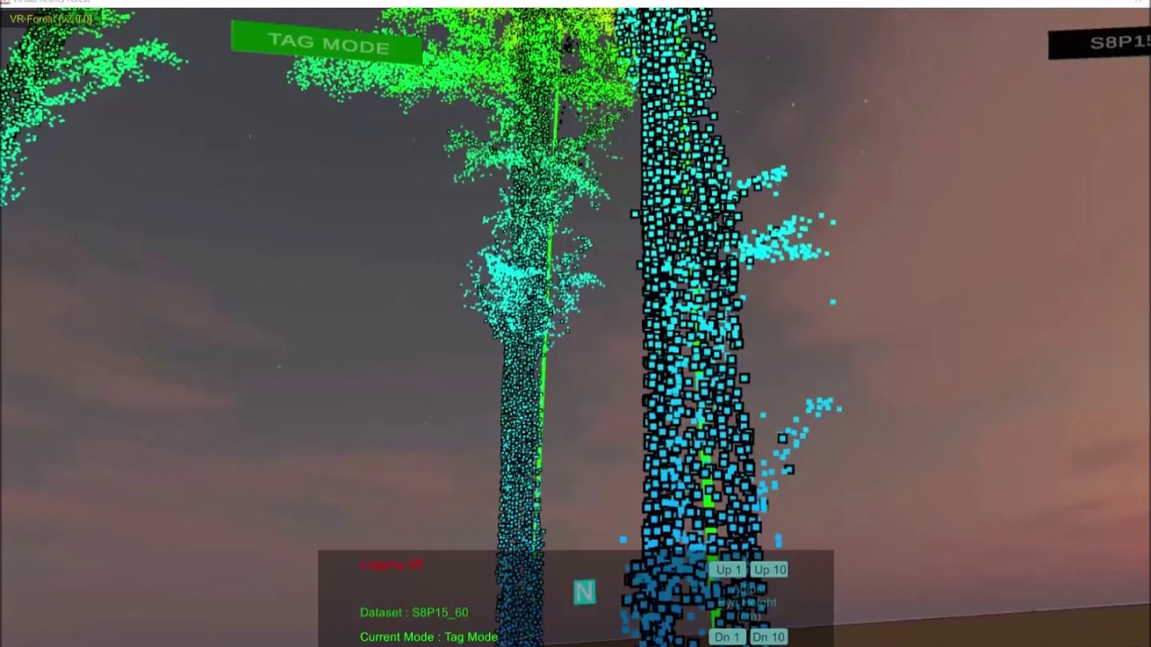 Virtual Reality Forest Tree Assessment / Inventory