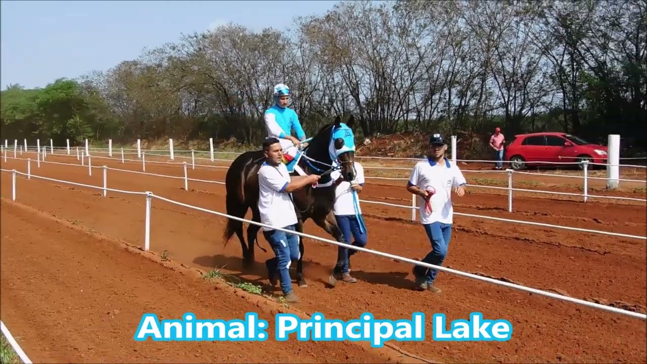 PRINCIPAL LAKE - 1 PAREO - 5 GP Torneio de lo Amigos - Jockey Club del Amambay - 21/10/2023