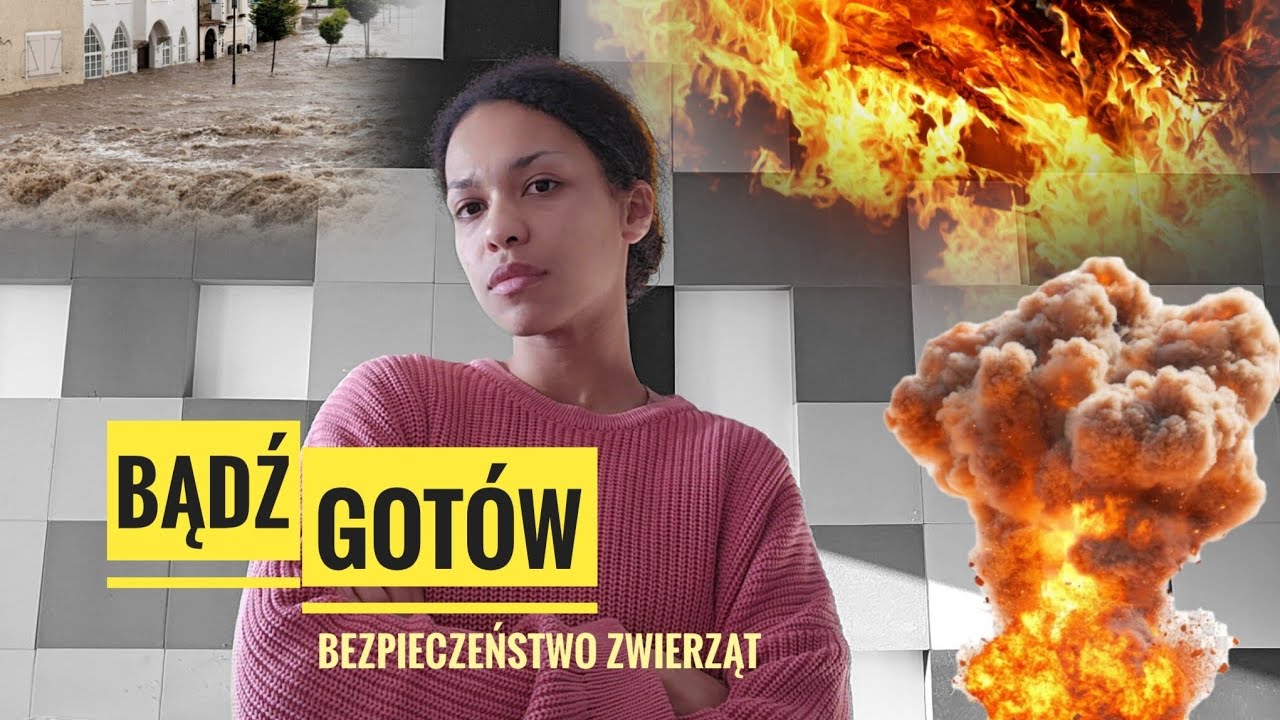 OKIEM ZOOPSYCHOLOGA - Obrona cywilna, bezpieczeństwo zwierząt domowych i gospodarskich.