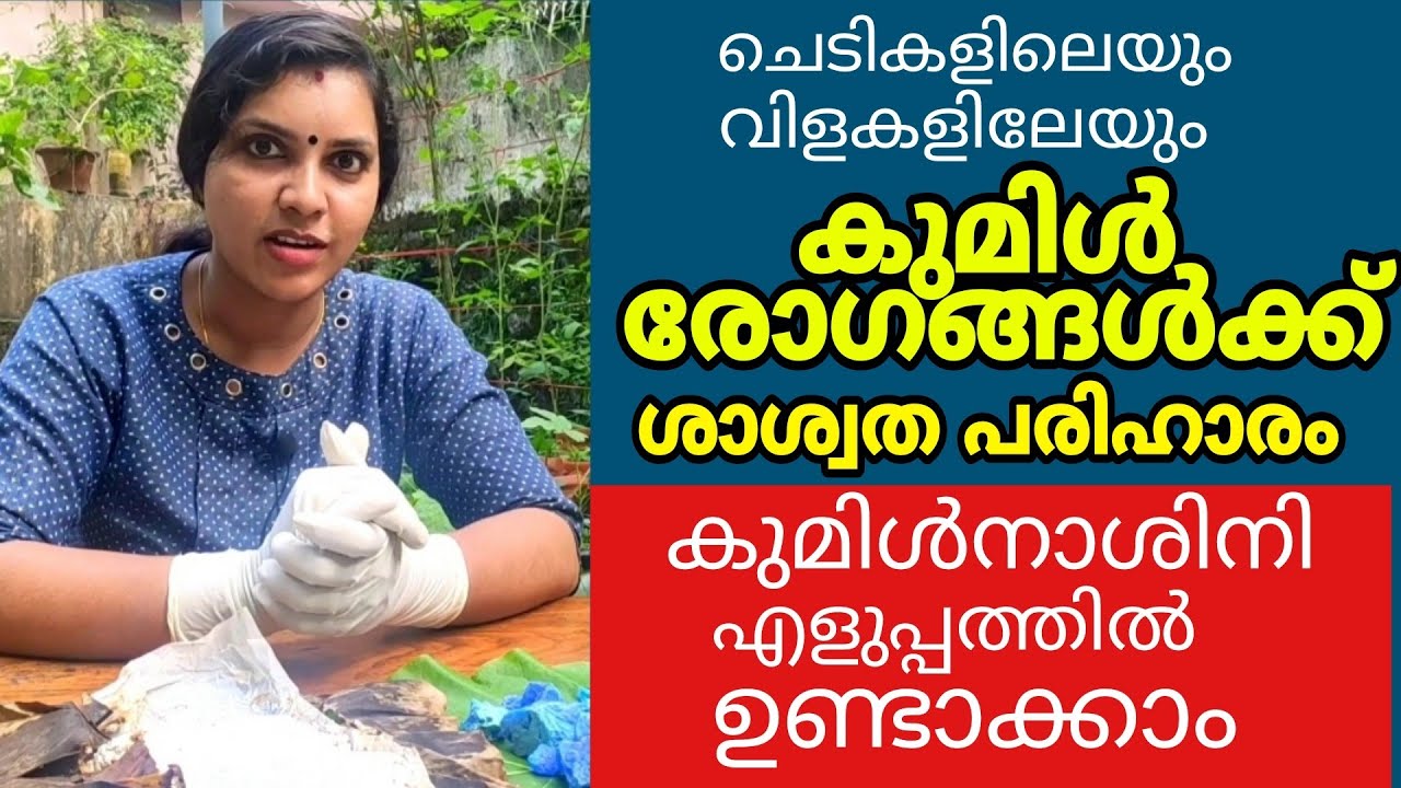 കുമിൾ രോഗങ്ങൾക്ക് ശാശ്വത പരിഹാരം| കുമിൾനാശിനി എളുപ്പത്തിൽ ഉണ്ടാക്കാം|Bordo mix,Bordo paste making