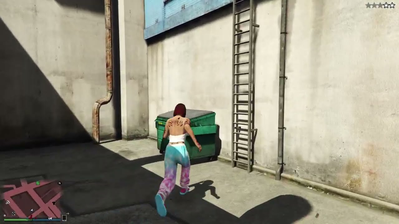 GTA V Online being a menace to society for 5 mins 😂