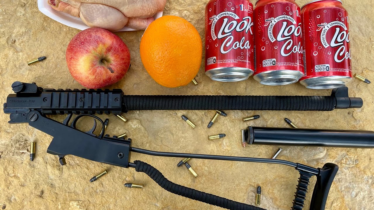 Test sur cibles CHIAPPA Little Badger 22lr ! (Survivalisme et plaisir)