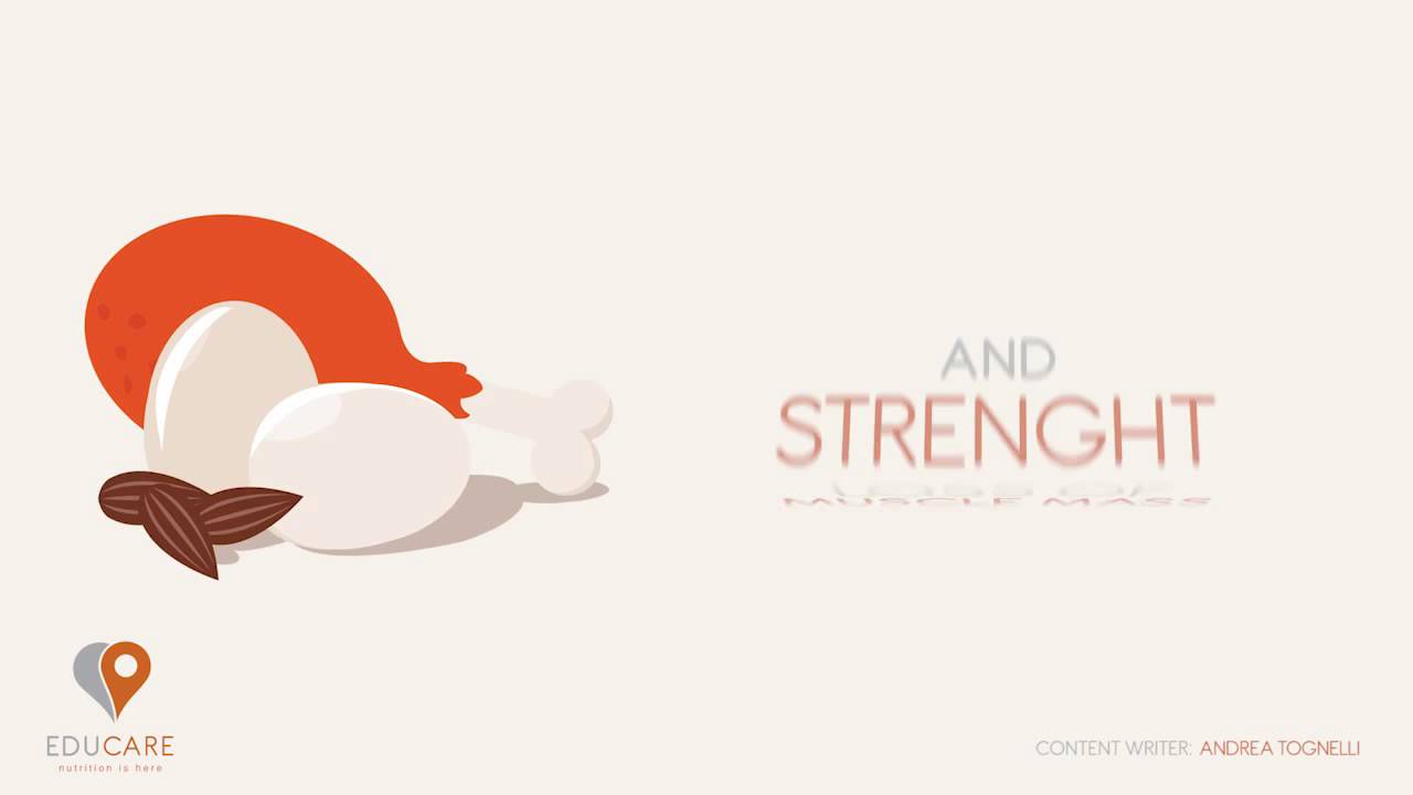 Protein for seniors Educareyou