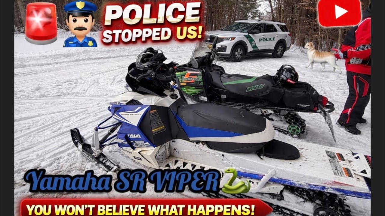 COPS PULLED US OVER  (wild trip / pulled over)