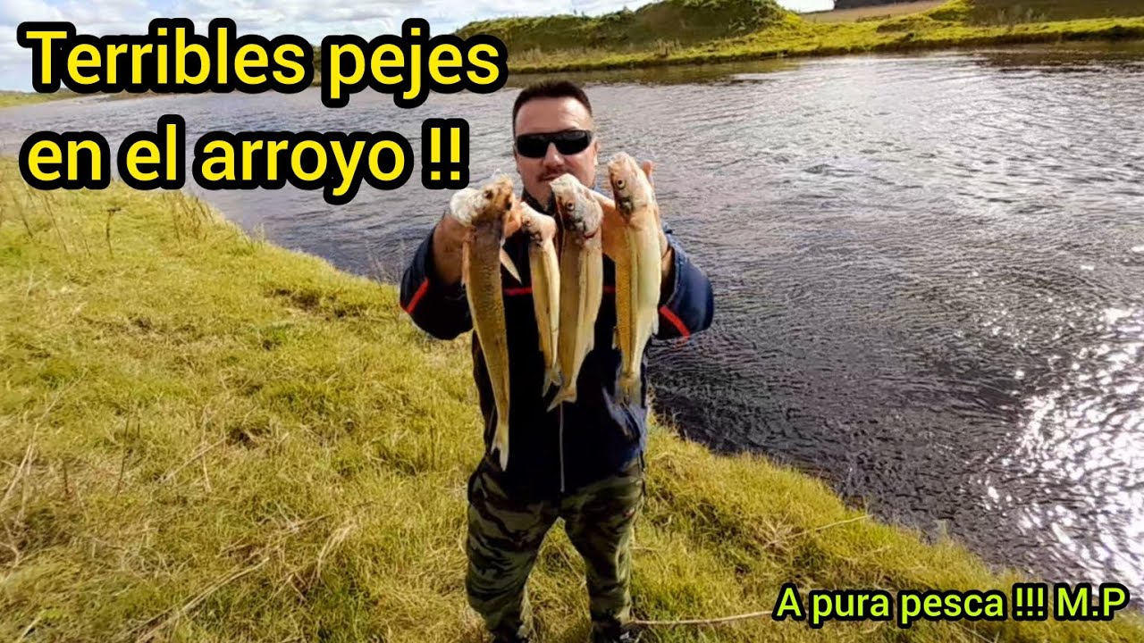 Pesca de pejerrey // En este arroyo están los grandes!! // matungos !!