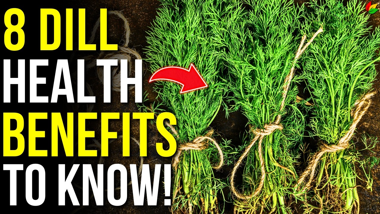8 Health Benefits of Dill You Need to Know | Dill Benefits and Uses