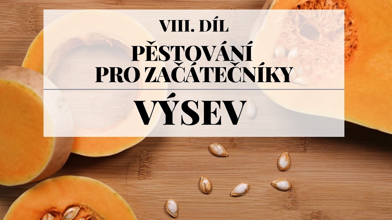 Výsev - 20 tipů a triků - Pěstování pro začátečníky 8. díl