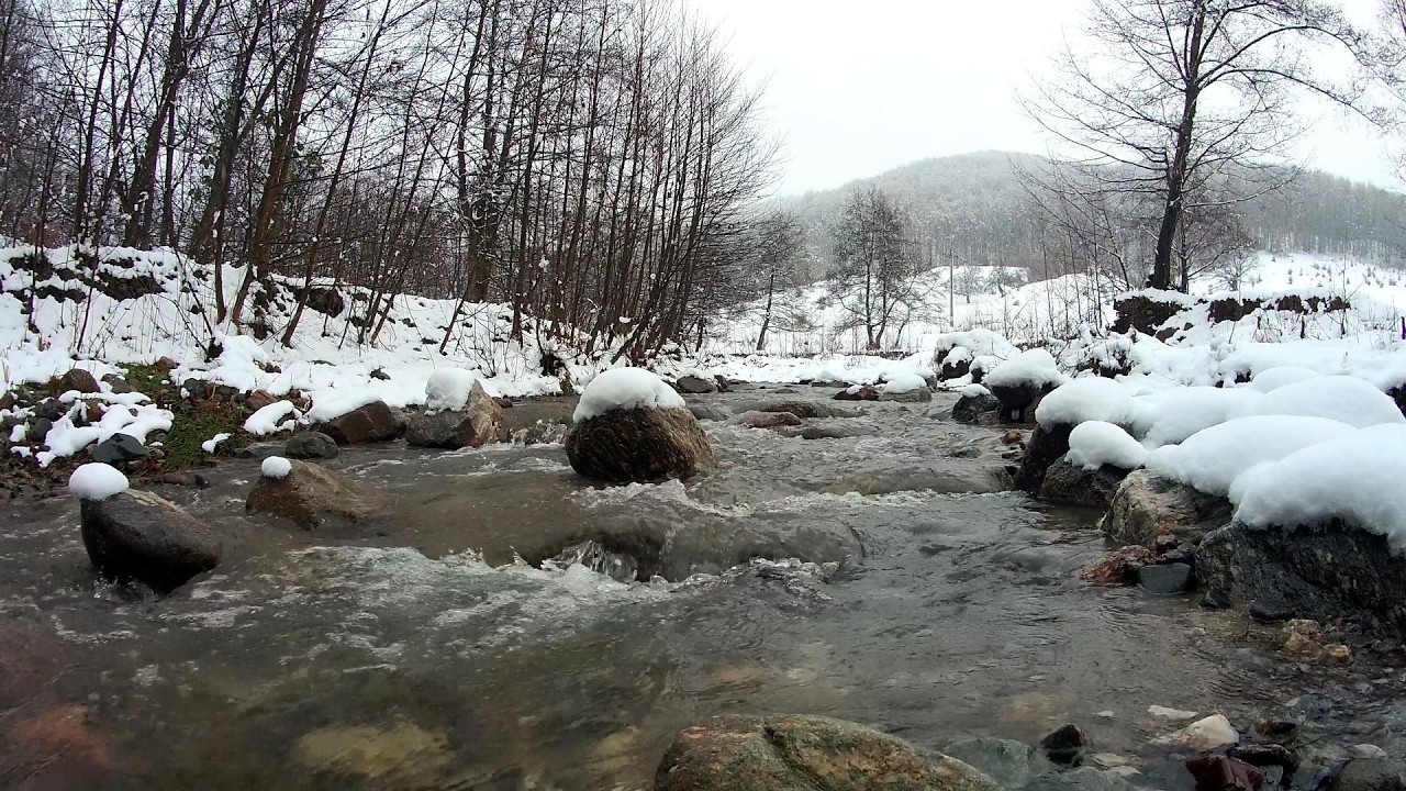 Peaceful babbling brook