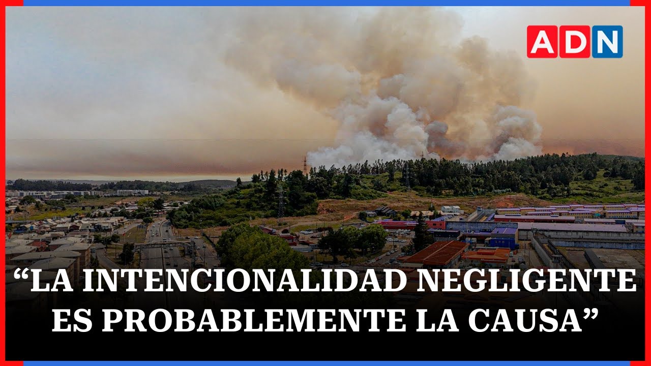 Fiscal regional del Biobío hace incapié en la intencionalidad de los incendios forestales en el sur