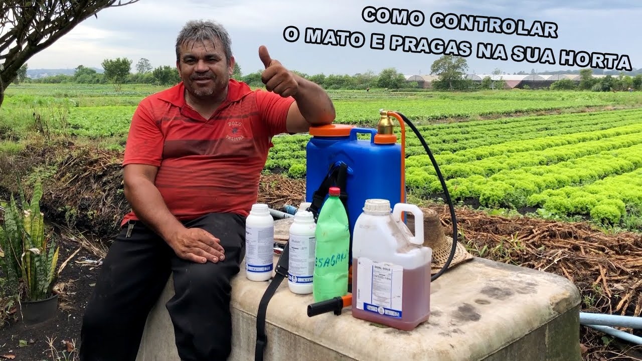 UMA "AULA" DE COMO USAR MATA MATO NA SUA HORTA E O SCORE PARA DEIXAR SUAS VERDURAS BONITAS